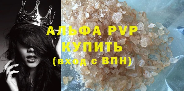 гашик Коряжма