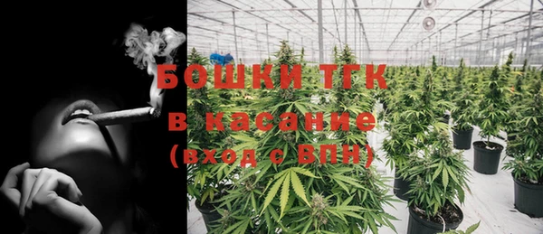 ПСИЛОЦИБИНОВЫЕ ГРИБЫ Козловка
