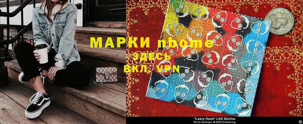 гашик Коряжма